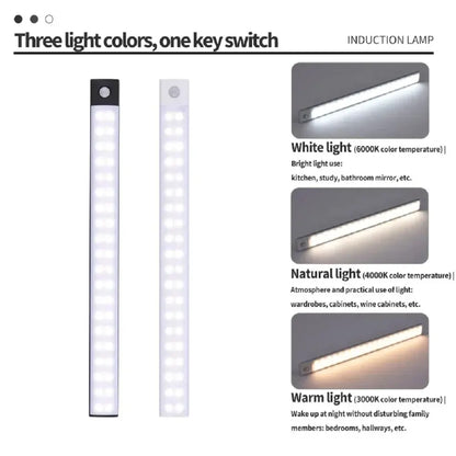 Motion Sensor Light